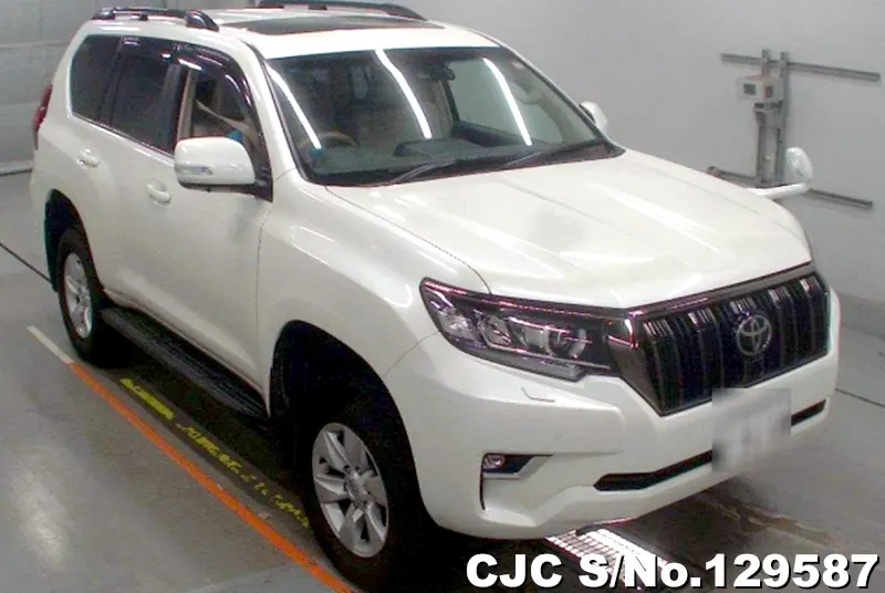 Toyota / Land Cruiser Prado 2022