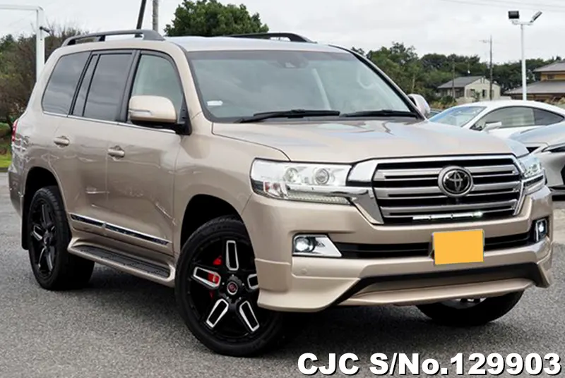 Toyota / Land Cruiser 2020